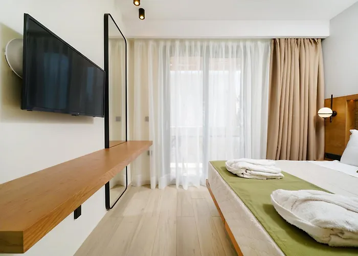 Hotel Azzure Luxury Potos